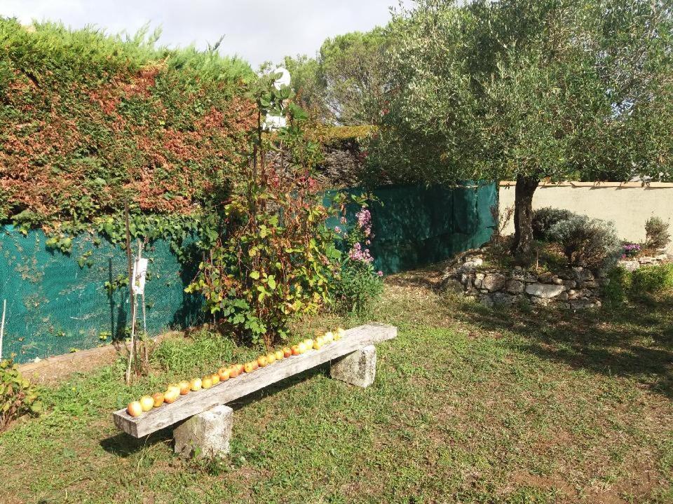 Le Clos De La Plage - Villa Vintage Avec Jardin Privatif- 500M De La Plage - 6 Personnes Dolus d'Oléron Zewnętrze zdjęcie